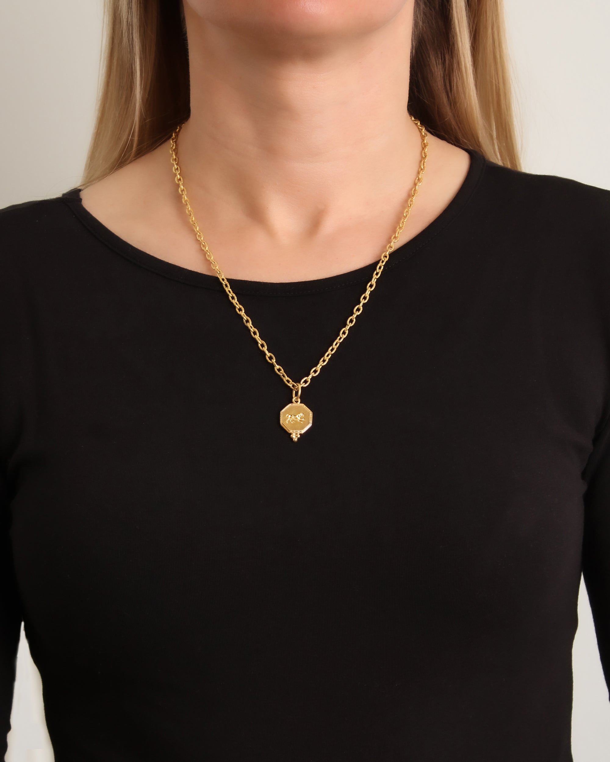 Octagonal Lion Jump Ring Pendant